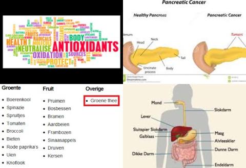 Antioxidanten en alvleesklierkanker.jpg