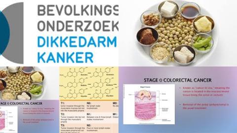 Dikke darmkanker en soja.jpg