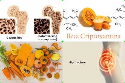 ß-cryptoxanthine en heupfracture.jpg