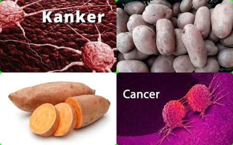 Aardappel en kanker.jpg