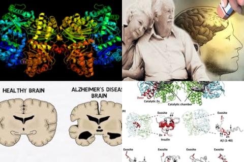 Alzheimer en enzym.jpg