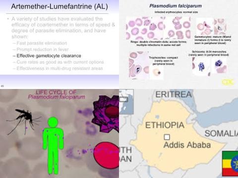 Anti malarial drug and Ethiopia.jpg