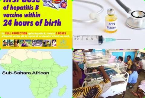 BCG and HepB-BD and Africa.jpg