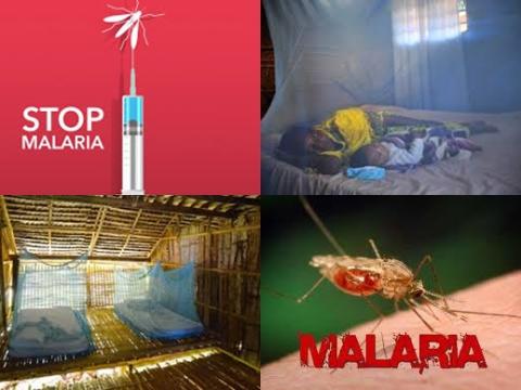Bed net use and malaria.jpg