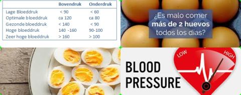 Bloeddruk en eieren.jpg