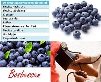 Bosbessen en bloeddruk.jpg