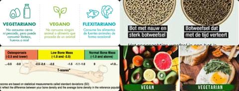 Botmineraaldichtheid en vegetariers.jpg