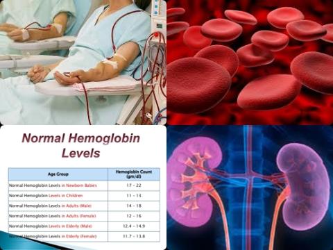 CKD and hemoglobin.jpg