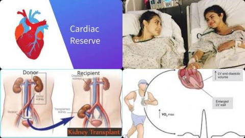 Cardiovascular reserve and kidney.jpg