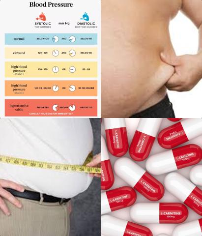 Carnitine en bloeddruk.jpg