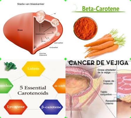 Carotenoiden en blaaskanker.jpg