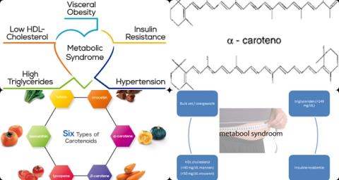 Carotenoiden en metabole syndroom.jpg