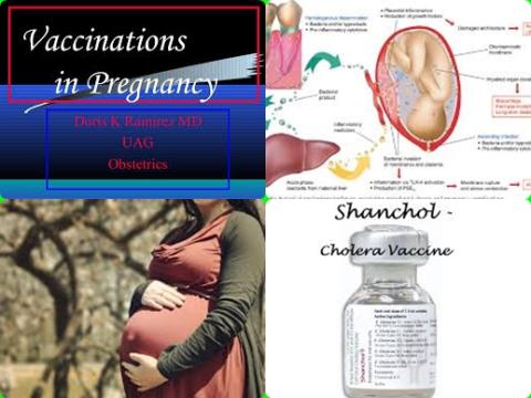 Cholera vaccination and pregnancy.jpg