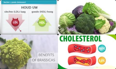 Cholesterol en Brassica groenten.jpg