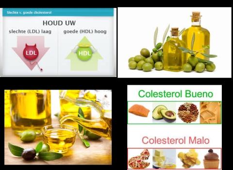 Cholesterol en olijfolie.jpg