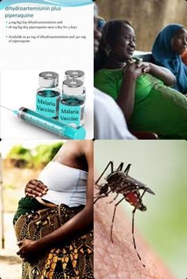 DP for IST and malaria 2.jpg