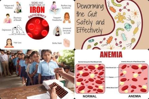 Deworming en iron deficiency.jpg