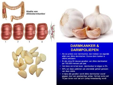 Dikke darmkanker en knoflook.jpg