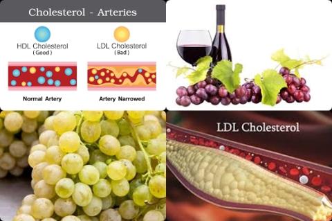 Druiven en cholesterol.jpg