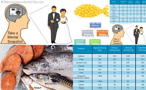 Fish and episodic memory.jpg