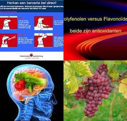 Flavonoiden en beroerte.jpg