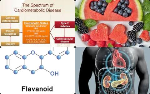 Flavonoiden en cardiometabole ziekte.jpg