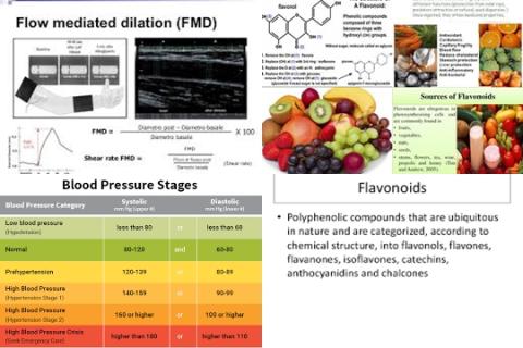 Flavonoids and blood pressure.jpg