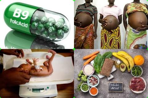 Folic acid and birth weight.jpg