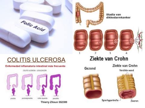 Foliumzuur en IBD.jpg