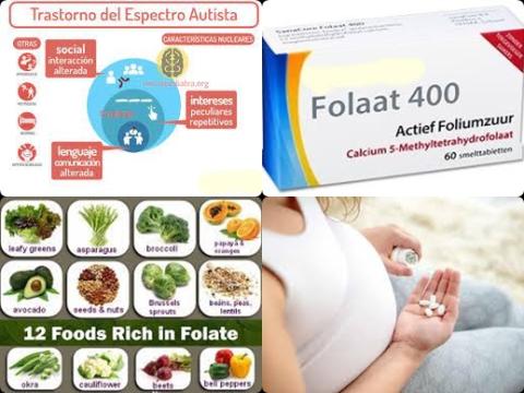 Foliumzuur en autisme.jpg