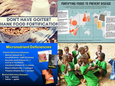 Food frotification and Mmcronutrient malnutrition.jpg
