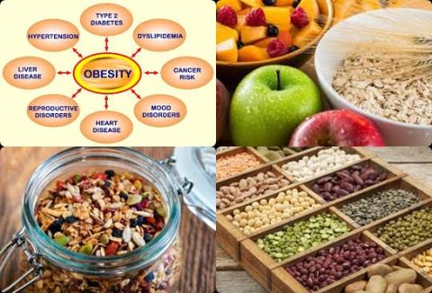 Food groups and obesity.jpg