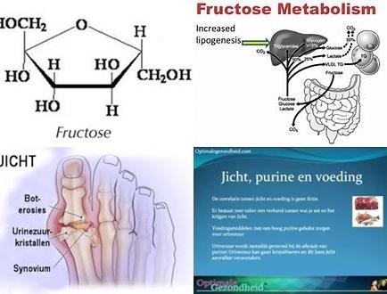 Fructose en jicht.jpg