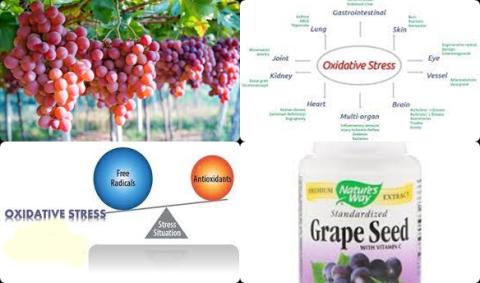 Grapes and oxidative stress.jpg