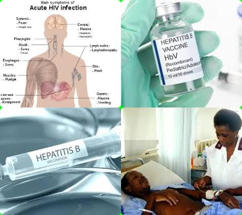 HBV and HIV.jpg