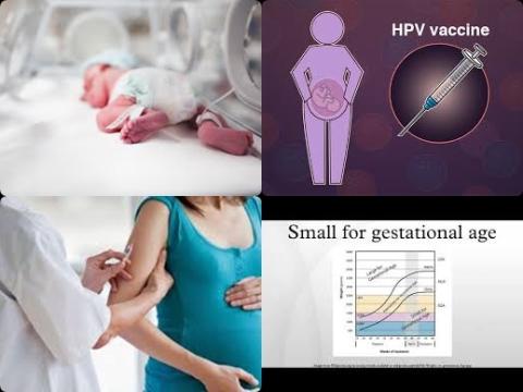 HPV and pregnancy.jpg