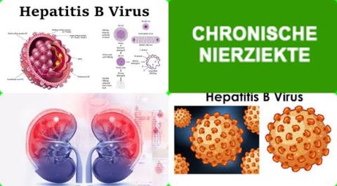 Hepatitis B en nierziekte.jpg