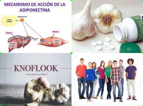 Knoflook en adiponectinegehalte.jpg