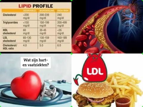 LDL en hart- en vaatziekten.jpg