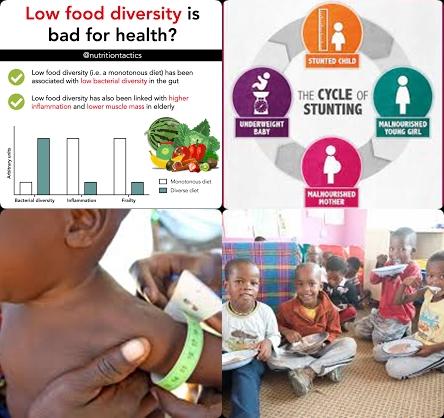 Low dietary diversity and stunting.jpg