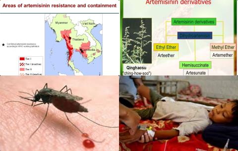 Malaria and South East Asia.jpg