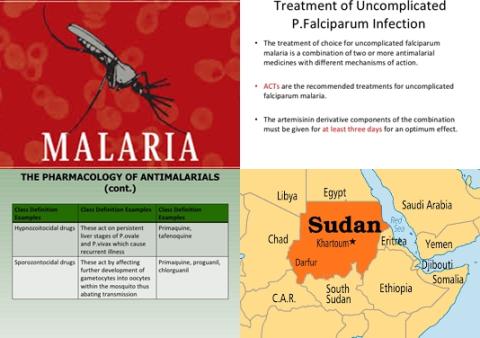 Malaria and Sudan.jpg