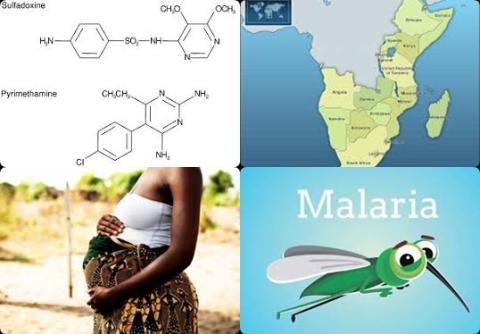Malaria and Sulfadoxine-pyrimethamine IPTp.jpg