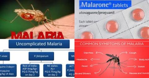Malaria and atovaquone proguanil therapy.jpg