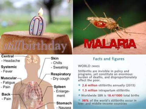 Malaria and stillbirth.jpg