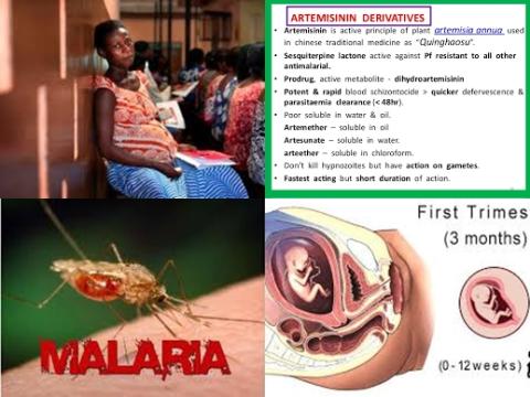 Malaria en zwangerschap.jpg