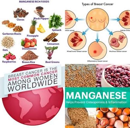 Manganese and breast cancer.jpg