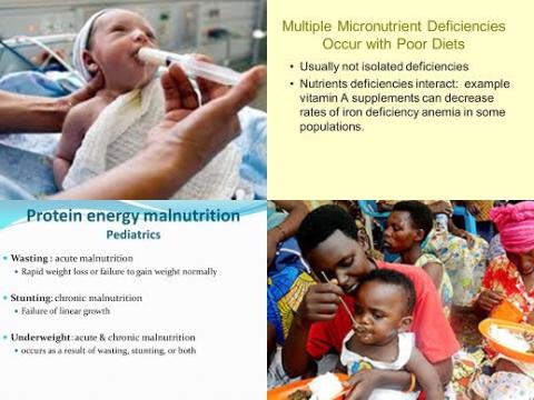 Micronutrient fand lineair growth.jpg