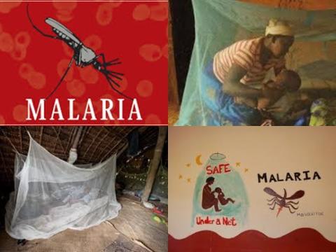 Net and malaria.jpg
