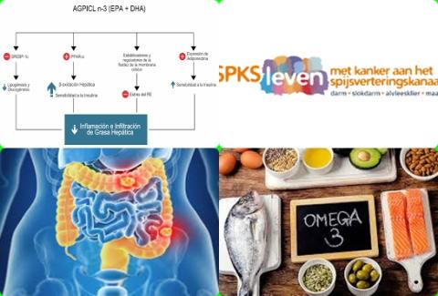 Omega 3 vetzuren en spijsverteringskanker.jpg